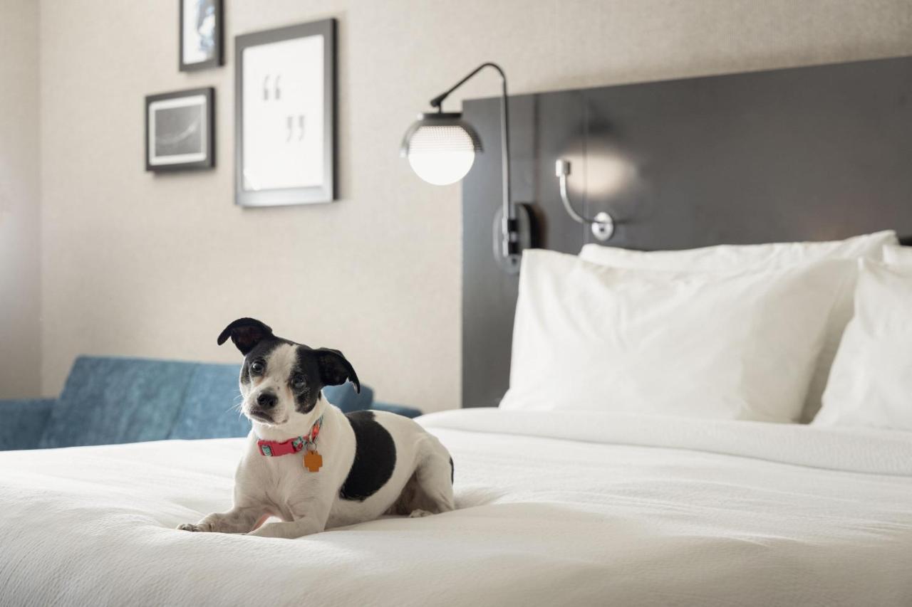 Four Points By Sheraton Milwaukee North Shore Hotel
